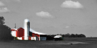 Rural Proofing Artificial Intelligence