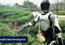 Will China’s AI-powered agribots repeat its EV success story?