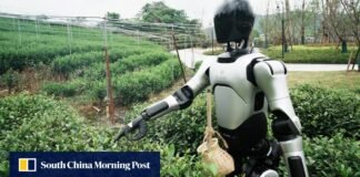 Will China’s AI-powered agribots repeat its EV success story?
