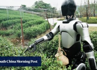 Will China’s AI-powered agribots repeat its EV success story?