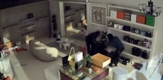 QuickCheck: Did thieves pull off an audacious heist of designer handbags in Cyberjaya?