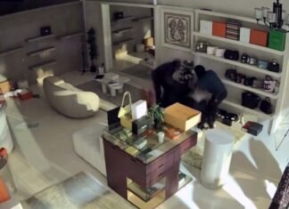 QuickCheck: Did thieves pull off an audacious heist of designer handbags in Cyberjaya?