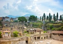 AI helps read papyrus scroll burnt to crisp during Vesuvius eruption