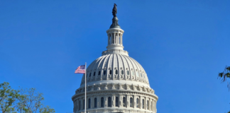 House Subcommittee on Cybersecurity and Infrastructure Protection Hosts Hearing on AI Security