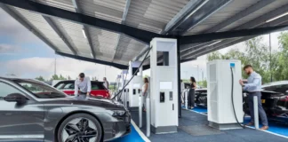 Relaxing electric vehicle target ‘will only aid Chinese firms’