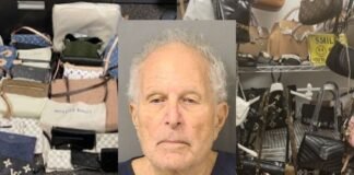 Delray Beach businessman accused of selling counterfeit designer bags again