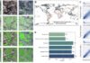 Counting trees from space with artificial intelligence