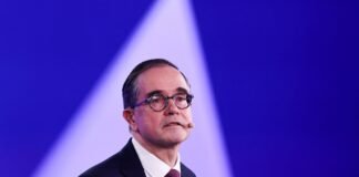 Renault CEO asks EU to encourage Chinese car makers to source parts in Europe