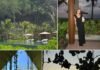 Inside the One-Year-Old Luxury Retreat in Mexico Where All the Fashion Girls Are Vacationing RN