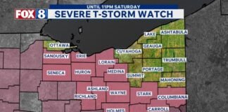Storm watches, warnings issued for several counties