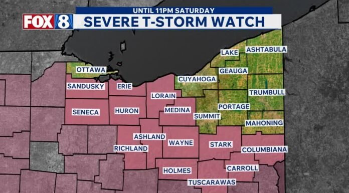 Storm watches, warnings issued for several counties