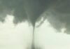 Tornado, severe thunderstorm watches in place for south and east Saskatchewan