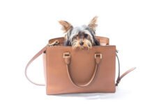 2nd Annual Hamptons Handbag Festival