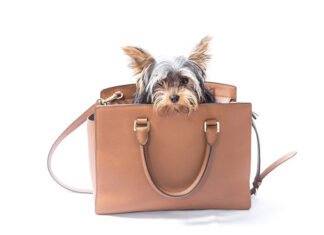 2nd Annual Hamptons Handbag Festival