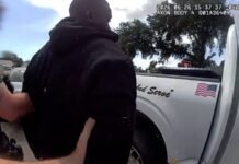VIDEO: Man captured after stealing $50K in jewelry from Tampa store, deputies say