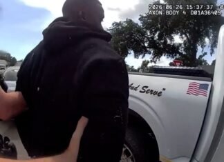 VIDEO: Man captured after stealing $50K in jewelry from Tampa store, deputies say
