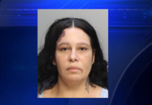 Miami mother accused of helping son steal purse from Design District jewelry store, police say – WSVN 7News | Miami News, Weather, Sports