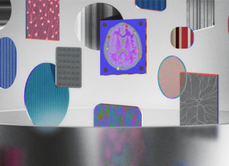 AI can’t solve the brain without data that fit together