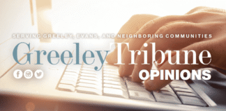 Letters: Phil Weiser; Shannon Bird; artificial intelligence
