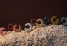 Blingin’ It: Susana Vega Is Turning Wood Into Wondrous Jewellery