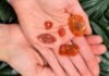 June 16: ‘Trapped in Time’ Jewelry Workshop at Newhall Library