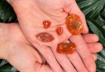 June 16: ‘Trapped in Time’ Jewelry Workshop at Newhall Library