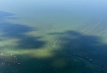 Dozen Kansas lakes under blue-green algae warnings, watches