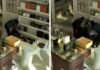 Cops hunt masked trio over RM90,000 luxury handbag theft