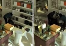 Cops hunt masked trio over RM90,000 luxury handbag theft