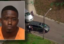 Hillsborough County man accused of attacking store owner during $50K jewelry robbery at University Square Mall