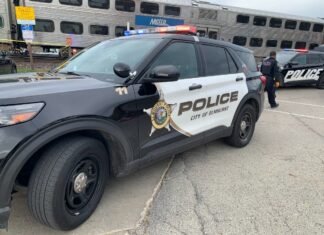 Elmhurst Man Knocks Down Jewelry Cabinet, Hits Person: Police
