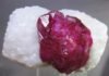Dig into fossils, crystals and jewelry at the 62nd Pikes Peak Gem, Mineral & Jewelry Show