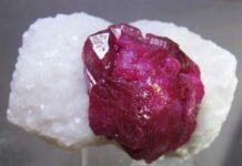 Dig into fossils, crystals and jewelry at the 62nd Pikes Peak Gem, Mineral & Jewelry Show