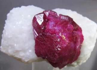 Dig into fossils, crystals and jewelry at the 62nd Pikes Peak Gem, Mineral & Jewelry Show