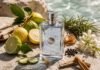 15 Budget Summer Colognes That Smell Expensive
