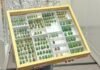 Who Will Guide the Use of AI in Entomology? Entomologists!