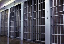 Two Houston Men Arrested in Connection With Round Rock Jewelry Store Robbery