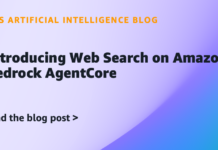 Introducing Web Search on Amazon Bedrock AgentCore
