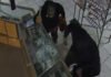 DNA links convicted felon to jewelry theft worth thousands