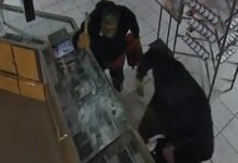 DNA links convicted felon to jewelry theft worth thousands