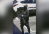 Petaluma police seek smash-and-grab robber who targeted jewelry store
