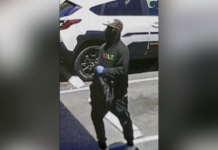 Petaluma police seek smash-and-grab robber who targeted jewelry store