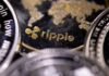 High-Beta XRP Bleeds While Wall Street Watches from the Bench