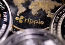 High-Beta XRP Bleeds While Wall Street Watches from the Bench