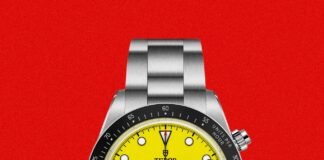 20 New Watches You Missed from Tudor, Oris, Seiko, Casio and More