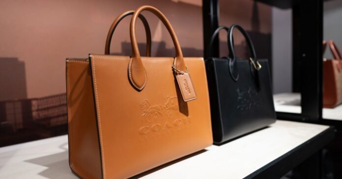 Coach and Quince End Lawsuit Over Alleged Lookalike Handbags