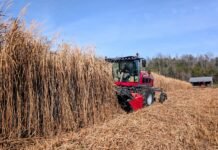 Grass guzzler: VW partnering in initiative to jump-start plant-based car parts