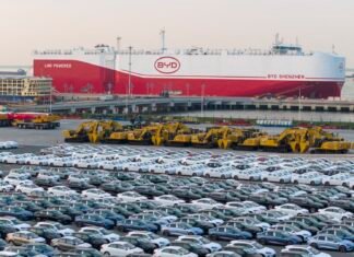 China’s car market heads for worst year since 2021 as sales plunge 20%