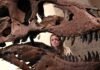 Boom in tech wealth is fueling record prices for dinosaur bones, art and watches, auction houses say