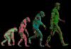 For Software Engineers, the AI Reckoning Is Already Here